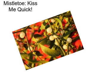 Mistletoe: Kiss Me Quick!