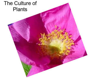 The Culture of Plants