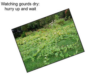 Watching gourds dry: hurry up and wait