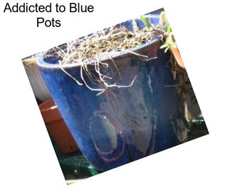 Addicted to Blue Pots