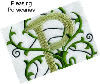Pleasing Persicarias