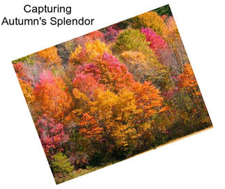 Capturing Autumn\'s Splendor