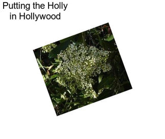 Putting the Holly in Hollywood