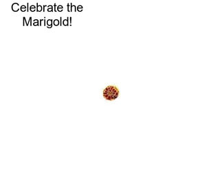 Celebrate the Marigold!