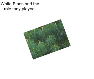 White Pines and the role they played.