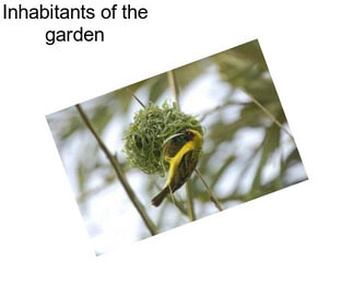 Inhabitants of the garden