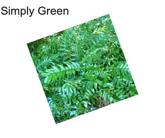 Simply Green