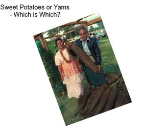 Sweet Potatoes or Yams - Which is Which?