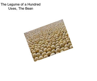The Legume of a Hundred Uses, The Bean