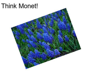 Think Monet!