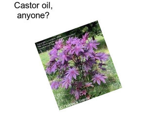 Castor oil, anyone?