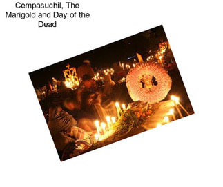 Cempasuchil, The Marigold and Day of the Dead