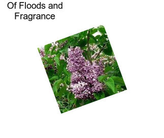 Of Floods and Fragrance