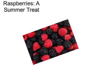 Raspberries: A Summer Treat