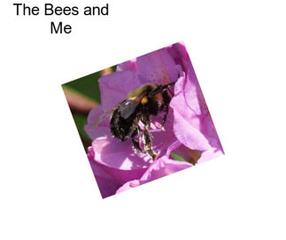 The Bees and Me