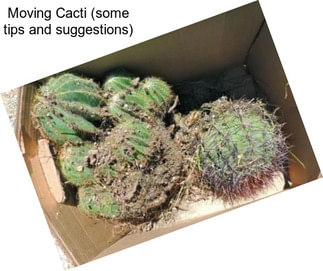 Moving Cacti (some tips and suggestions)