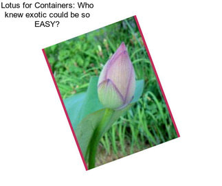 Lotus for Containers: Who knew exotic could be so EASY?