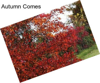 Autumn Comes