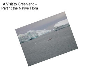 A Visit to Greenland - Part 1: the Native Flora