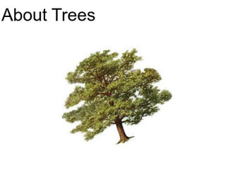 About Trees