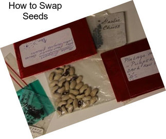 How to Swap Seeds