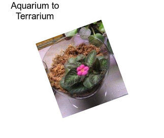 Aquarium to Terrarium