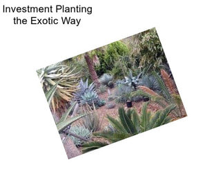 Investment Planting the Exotic Way