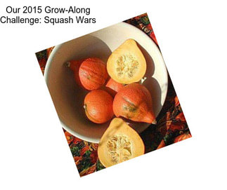 Our 2015 Grow-Along Challenge: Squash Wars