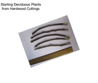 Starting Deciduous Plants from Hardwood Cuttings