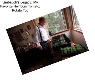 Limbaugh\'s Legacy: My Favorite Heirloom Tomato, \