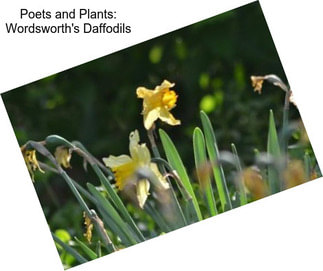 Poets and Plants: Wordsworth\'s \