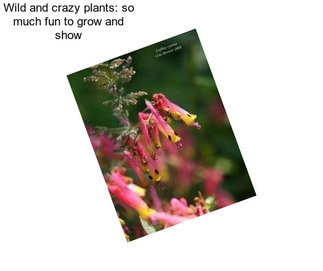 Wild and crazy plants: so much fun to grow and show
