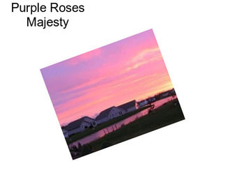 Purple Roses Majesty