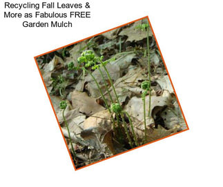 Recycling Fall Leaves & More as Fabulous FREE Garden Mulch