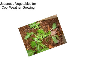 Japanese Vegetables for Cool Weather Growing