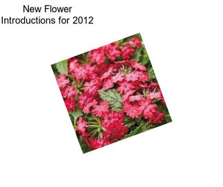 New Flower Introductions for 2012