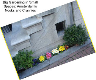 Big Gardening in Small Spaces: Amsterdam\'s Nooks and Crannies