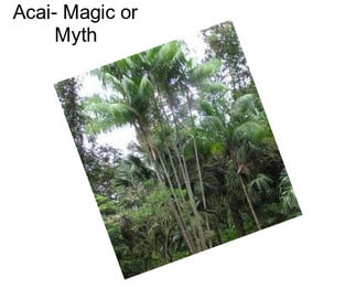 Acai- Magic or Myth