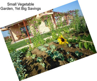 Small Vegetable Garden, Yet Big Savings