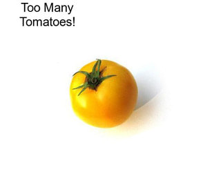 Too Many Tomatoes!