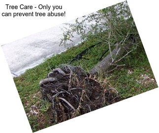 Tree Care - Only you can prevent tree abuse!