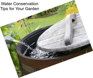 Water Conservation Tips for Your Garden