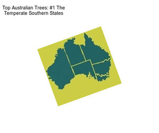 Top Australian Trees: #1 The Temperate Southern States