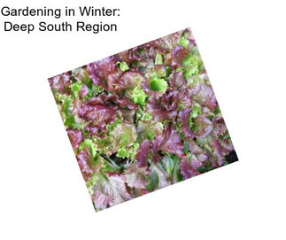 Gardening in Winter: Deep South Region