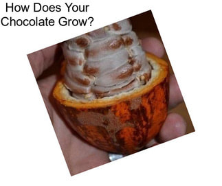 How Does Your Chocolate Grow?