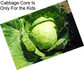 Cabbage Core Is Only For the Kids