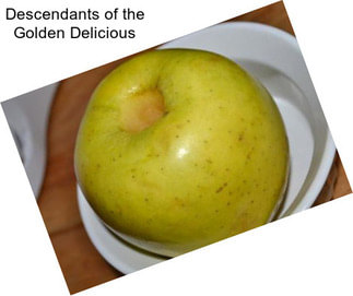 Descendants of the Golden Delicious