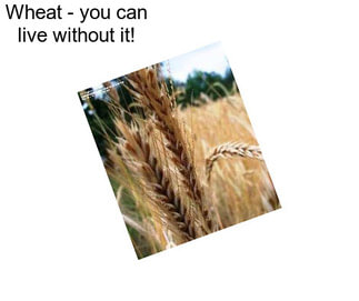 Wheat - you can live without it!