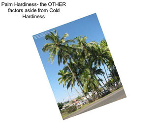 Palm Hardiness- the OTHER factors aside from Cold Hardiness