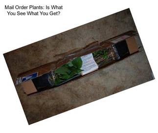 Mail Order Plants: Is What You See What You Get?